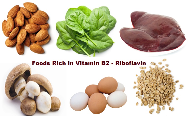 Foods Rich in Vitamin B2 Riboflavin dailyhealthyfoodtips - بررسی فواید ویتامین B2 و علائم و نشانه های کمبود این ویتامین در بدن