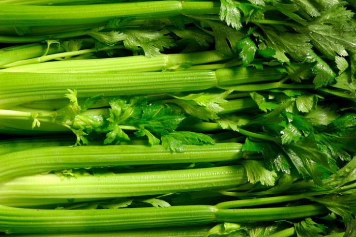 celery - مواد غذایی دارای ویتامین K و تامین ویتامین K مورد نیاز بدن