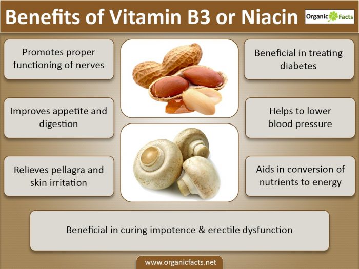 vitaminb3info - بررسی فواید ویتامین B3، علائم کمبود این ویتامین و منابع غذایی موجود