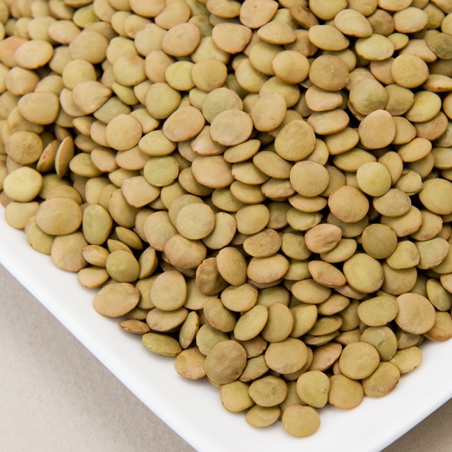 650green lentils org68 - منابع غذایی سرشار از اسید فولیک برای تامین نیاز بدن به فولات