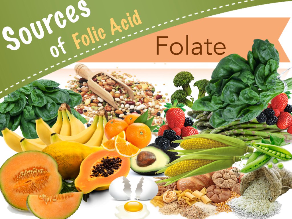 9049418 - منابع غذایی سرشار از اسید فولیک برای تامین نیاز بدن به فولات
