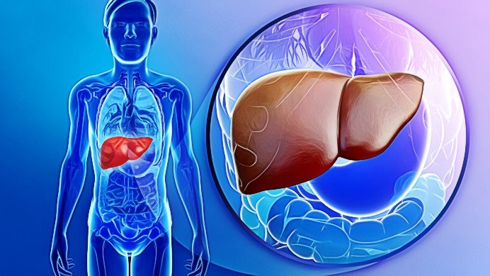 chinese secrets to fatty liver and obesity reversal pdf review - کبد چرب؛ علل ایجاد آن، علائم و راه های درمان کبد چرب