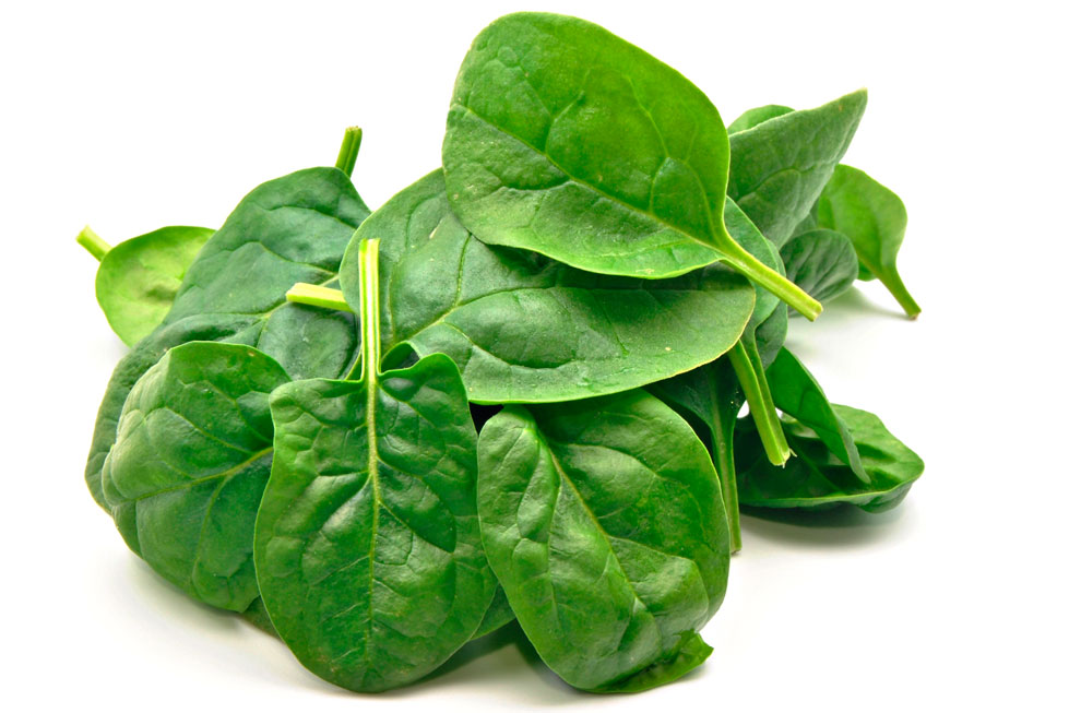 spinach web - منابع غذایی سرشار از اسید فولیک برای تامین نیاز بدن به فولات