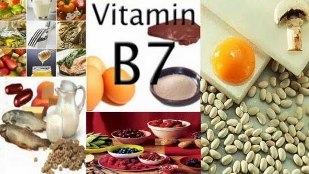 top foods high in biotin or b7 vitamin - همه چیز درباره بیوتین یا ویتامین B7