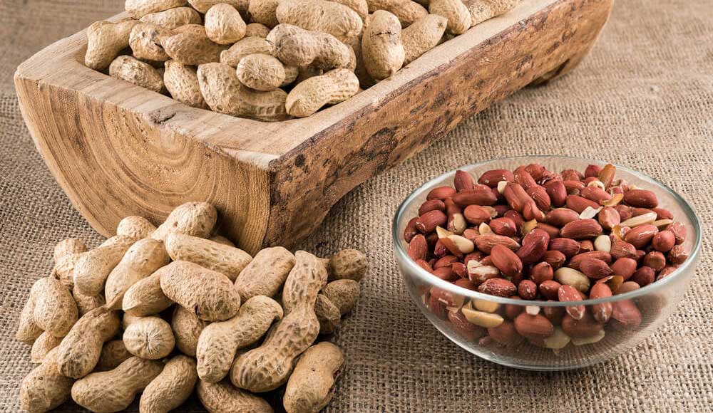 peanuts liver - فواید بادام زمینی برای سلامت بدن
