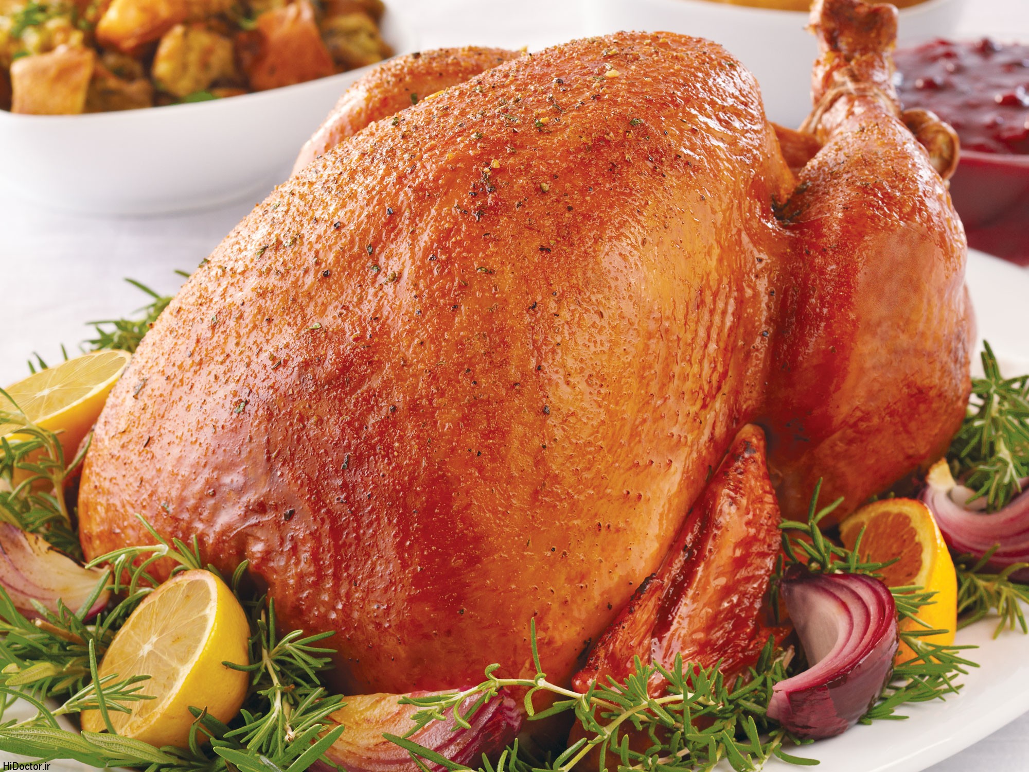 turkey 1 - آشنایی با خواص انواع گوشت ها و آگاهی از مضرات مصرف بی رویه گوشت