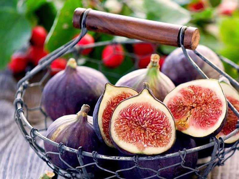 benefits of figs large banooyeshahr - درمان یبوست : راه حل طبیعی برای درمان یبوست