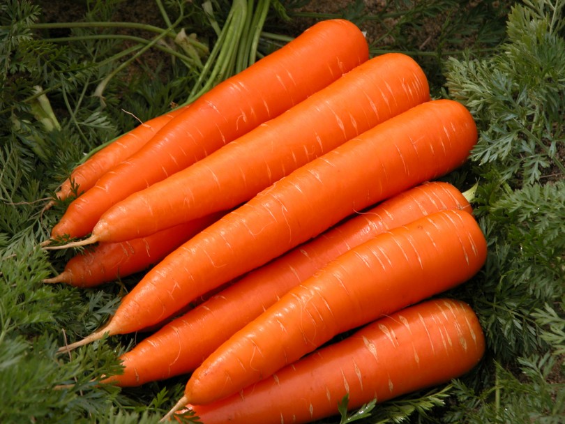 carrot 1 810x608 - خوراکی‌های مفید برای حفظ سلامت چشم و راه های مراقبت از چشم