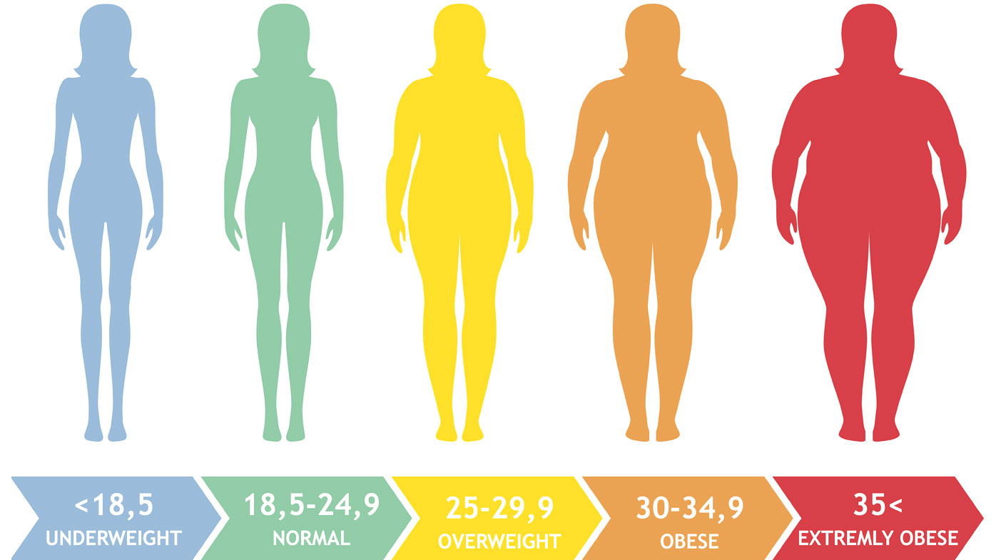 انلاین bmi - شاخص توده‌ی بدن یا BMI چیست و چگونه محاسبه می گردد؟