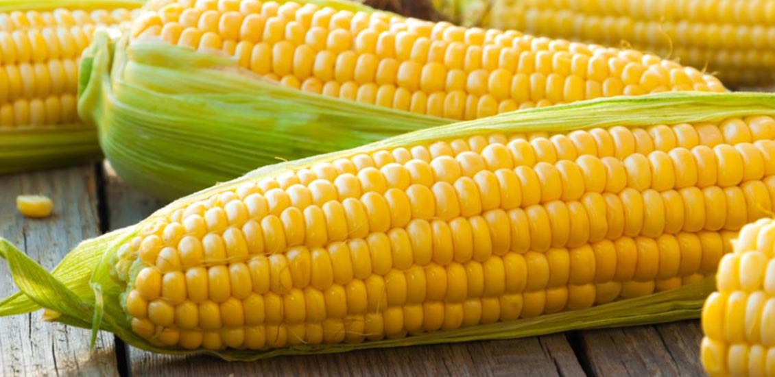 corn - مواد غذایی حاوی کروم برای دریافت کروم مورد نیاز بدن
