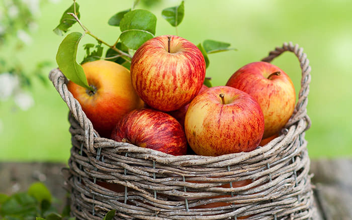 apple fruit - چربی سوزهای زمستانی ، خوراکی های چربی سوز در فصل زمستان