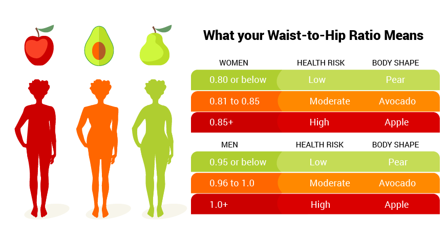 waisthip - تعریف وزن ایده آل چیست؟ و شاخص های اندازه گیری وزن ایده آل کدامند؟