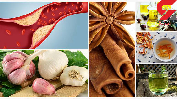 8 natural ingredients to control the levels of triglycerides - نقش رژیم غذایی سالم در کاهش تری گلیسیرید خون