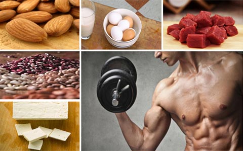 best protein foods for building muscle - رژیم غذایی بدنسازی (2): باید ها و نباید های رژیمی هنگام باشگاه رفتن