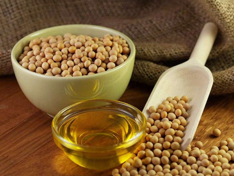 soybean 1 768x576 - بهترین روغن های مخصوص پخت و پز مواد غذایی، برای مبتلایان به فشار خون بالا