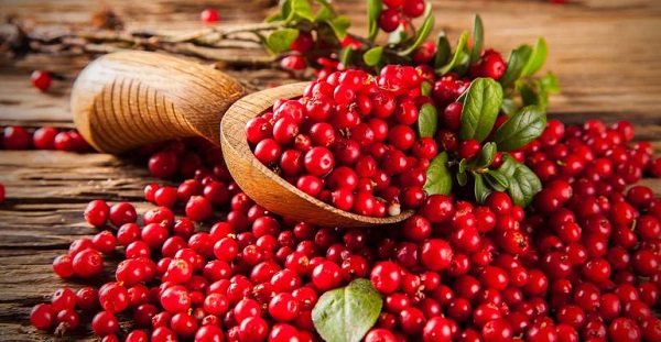 Cranberries112117 1540x800 0 - رژیم غذایی سالم برای سم‌ زدایی از بدن در فصل زمستان