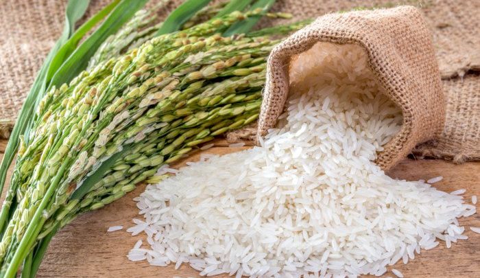 از کریسپر برای افزایش بازدهی جذب گیاه برنج 700x405 - مزایای خیساندن برنج قبل از پخت