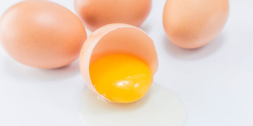 زرده تخم مرغ 870x435 1 - مواد غذایی مفید برای تقویت عملکرد مغز با افزایش سن