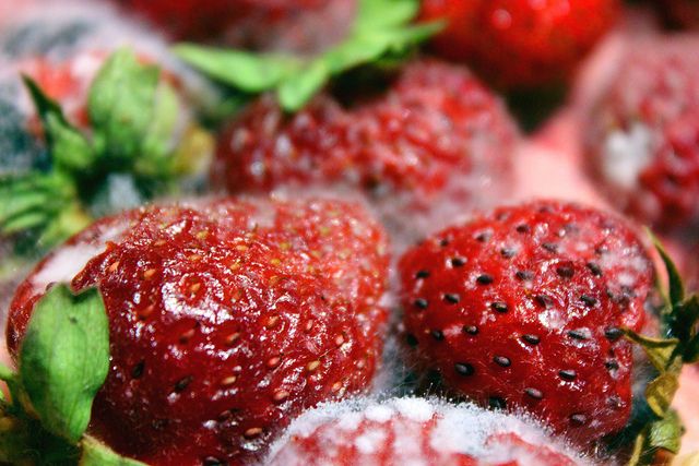 مصرف میوه‌های کپک‌زده تهدیدی برای سلامتی
