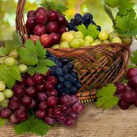 خواص انگور برای سلامت بدن