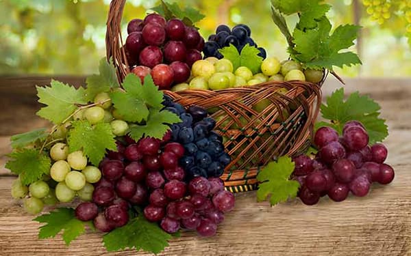 خواص انگور برای سلامت بدن