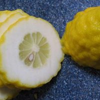 میوه بالنگ مفید برای نفخ شکم