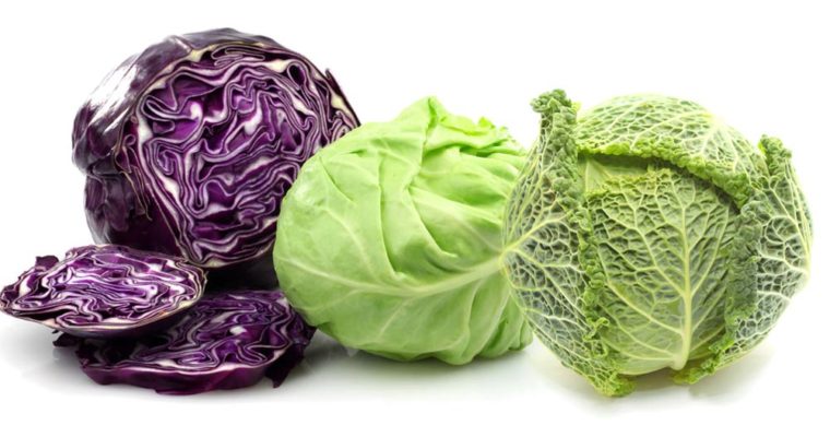 Different Types of Cabbages Health Benefits Cabbage 760x400 - مواد غذایی دارای ویتامین K و تامین ویتامین K مورد نیاز بدن