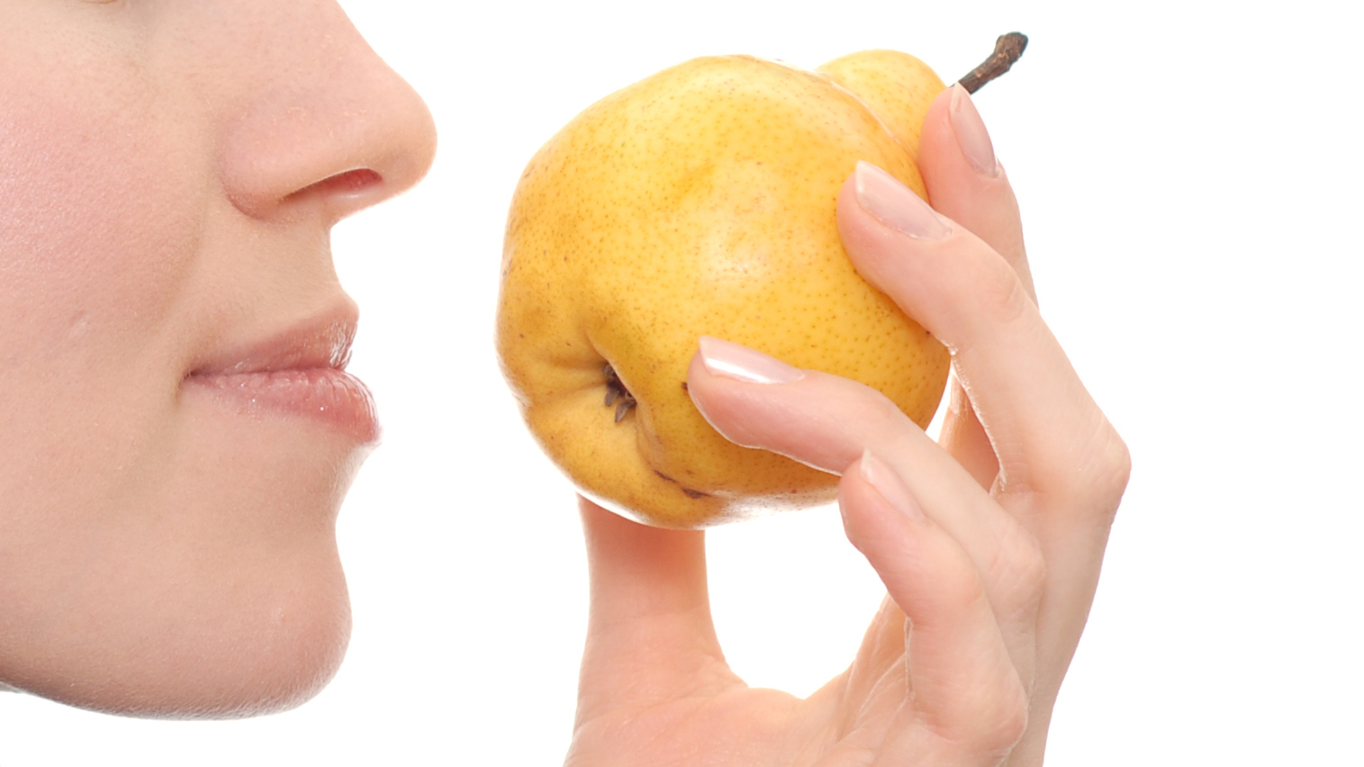 smell - نقش روی در سلامت بدن و عوارض ناشی از کمبود روی